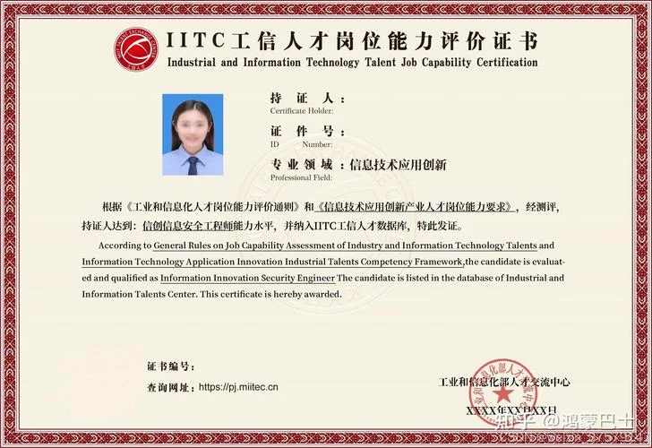信息系统项目管理师专业_1