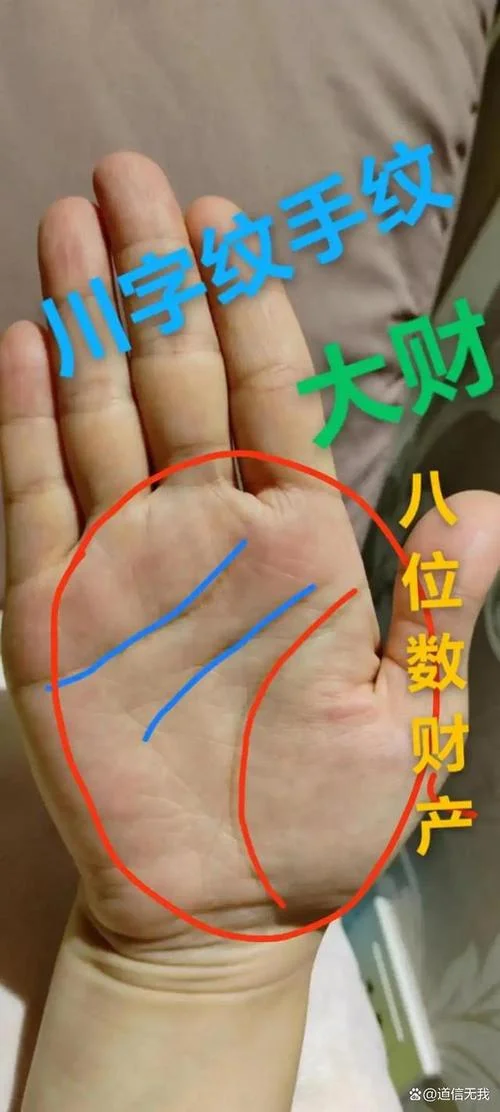 川字掌纹手相怎么说_2