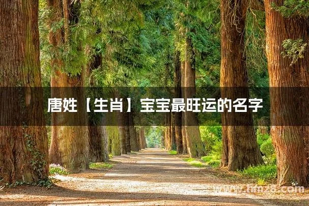 姓名唐的女宝宝起名_1