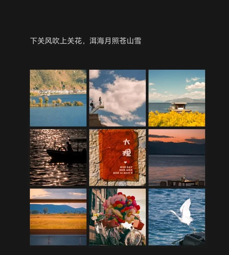 苍山雪洱海月的下一句_1