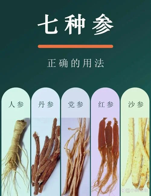 人参是补什么_1