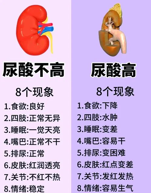 ua尿酸偏高是什么意思_2