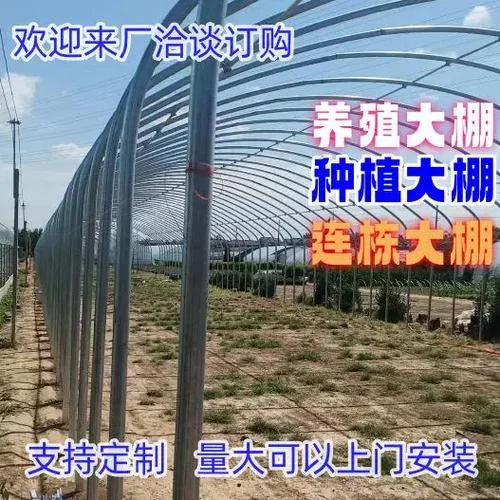钢架大棚多少钱一平方_2