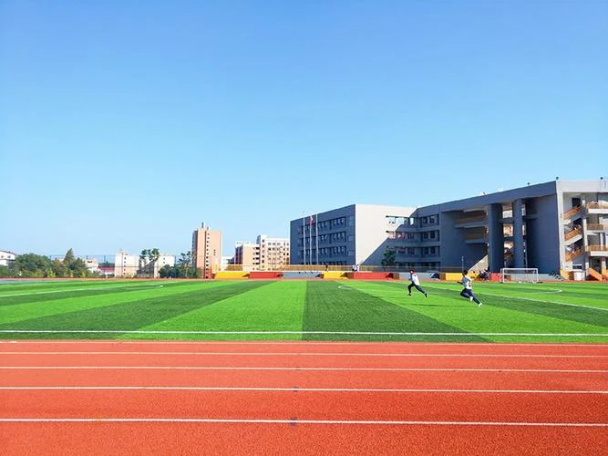 卫斯理学院附属中学-卫斯理附中中学