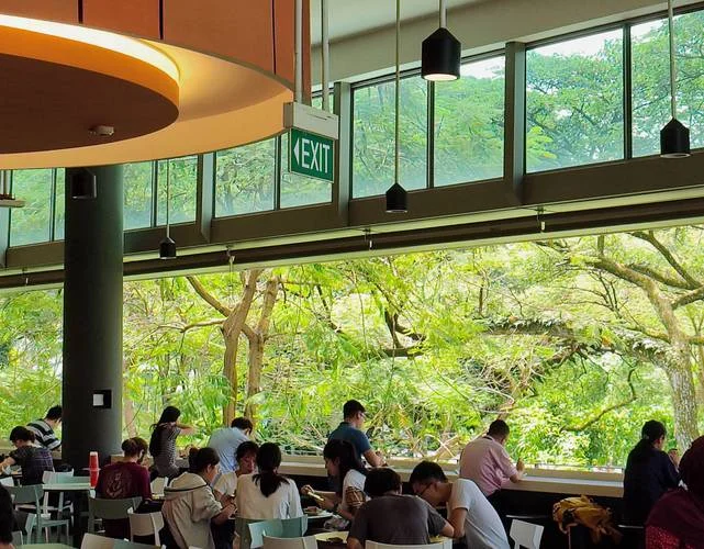 长沙市留学咨询_1