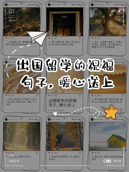 关于出国留学的句子_2