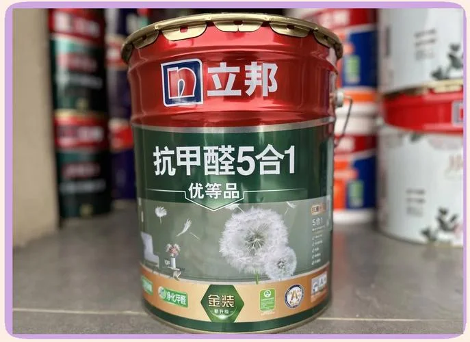 中国除甲醛哪个牌子好_2