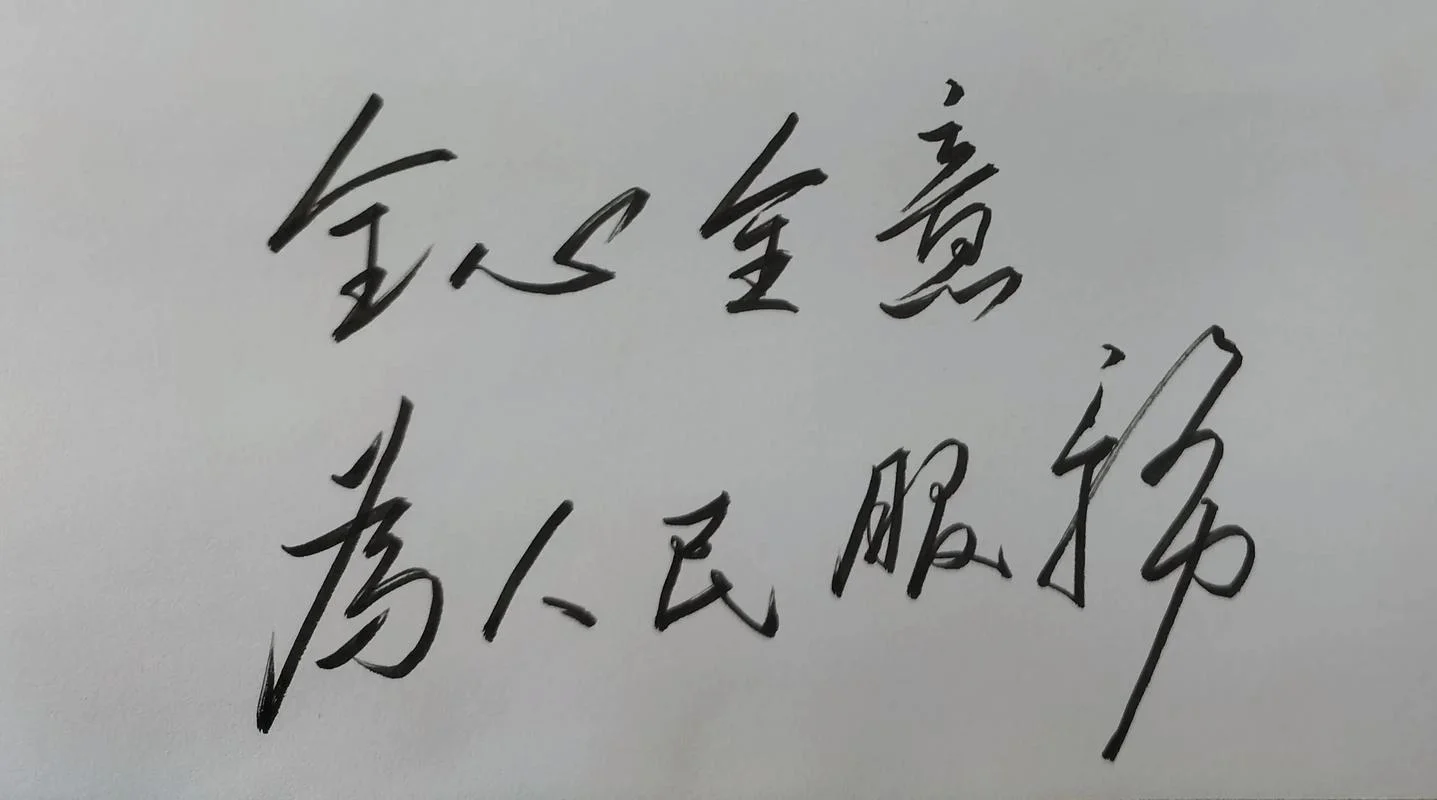 仁心仁术为民下一句_1