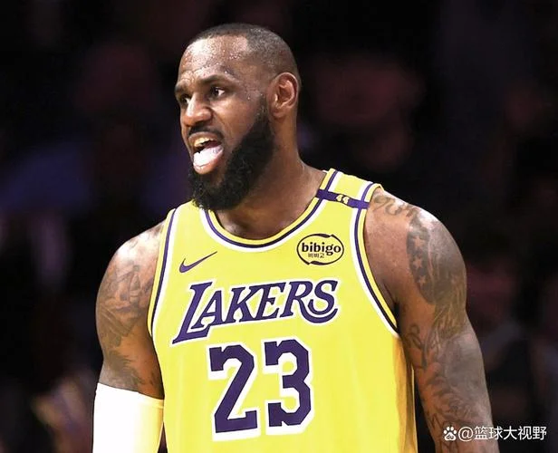 詹姆斯多大了进nba_2