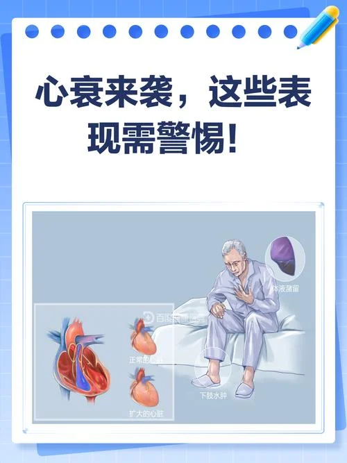 心衰因子是什么意思_1