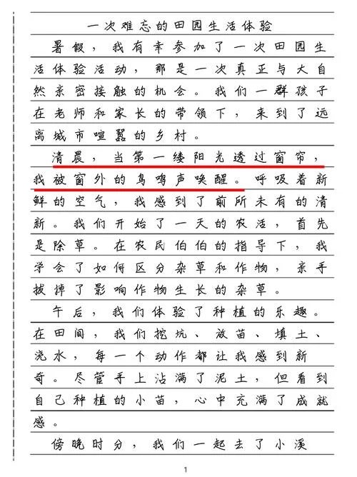 作者的感悟_2