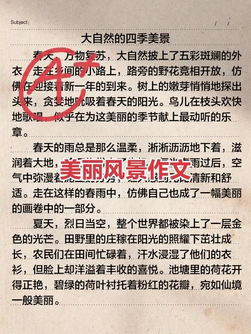 感悟美丽作文_1