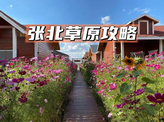 河北张北草原旅游攻略_1