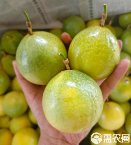 香果又叫什么名_1