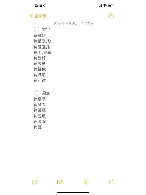 肖姓女孩起名一个字_2
