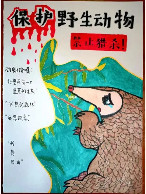 野生动物保护感悟_1