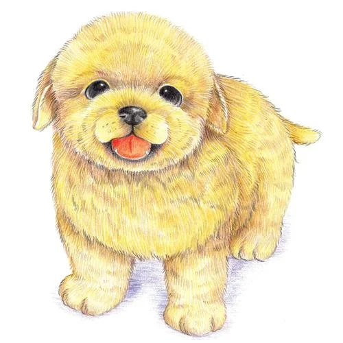 动物卡通彩铅简笔画_1