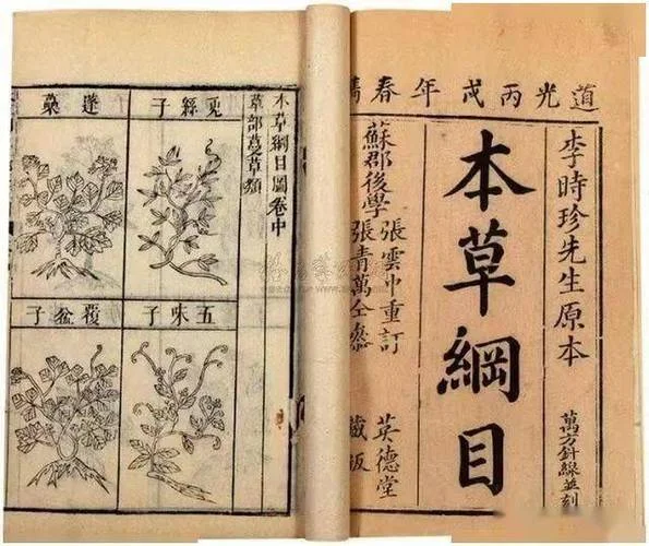本草纲目是谁写的前言_2