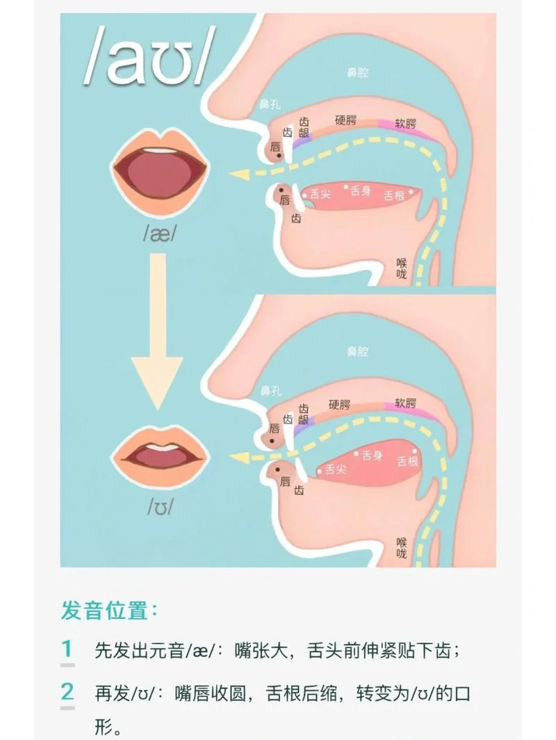 初学者怎么学弹舌_1