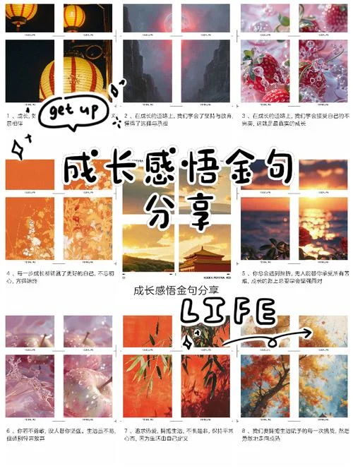 工作成长感悟分享-工作成长感悟分享