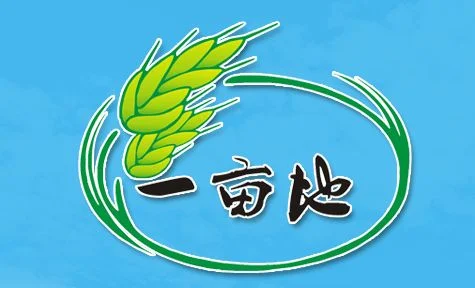 1亩是多少个平方呢_2