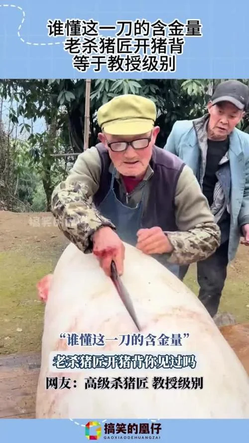 梦见杀猪刀_2