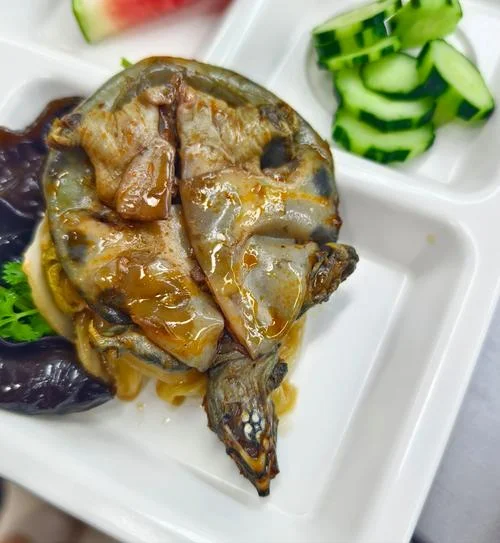 史上最可怕的黑暗料理-史上最恐怖的黑暗料理