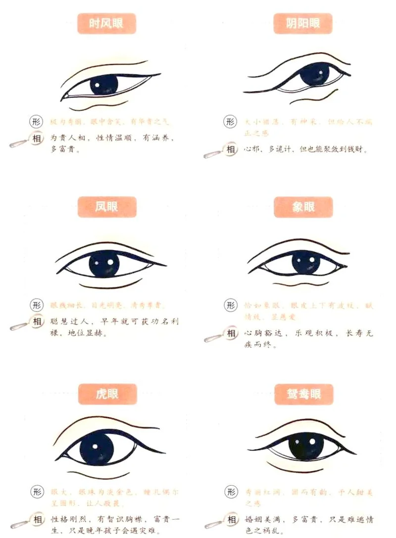 你看看这个人的面相-面相显人运势
