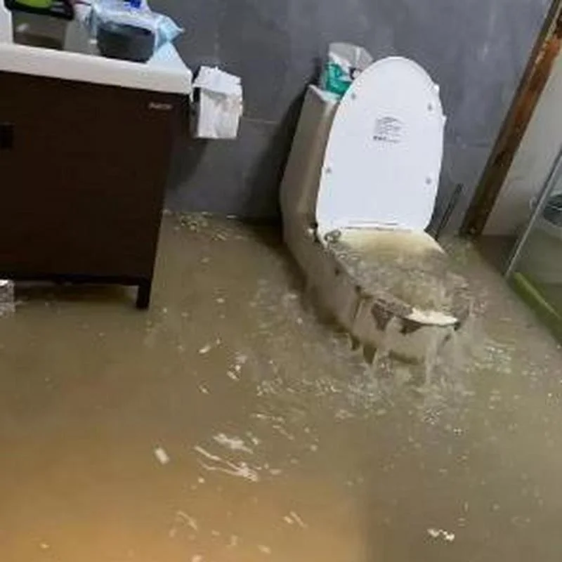 梦见厕所积水满了-梦到厕所积水泛滥