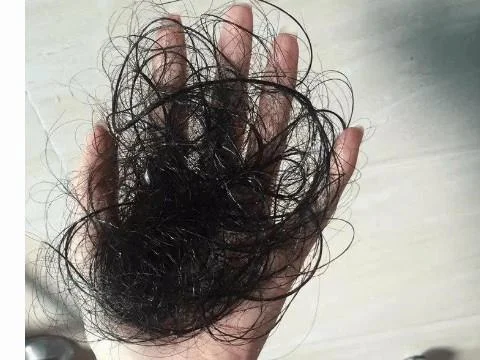 梦见拉了很多头发_2
