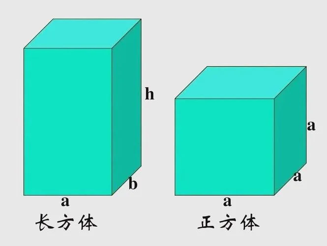 正方体和长方体怎么画_1