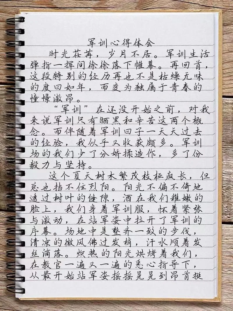 军训见习者感悟_1