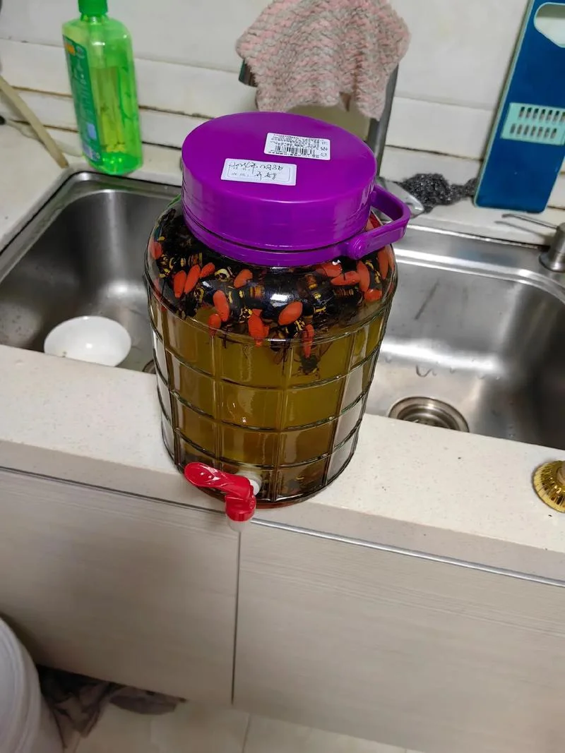 马蜂泡酒怎么用-马蜂泡酒正确用法