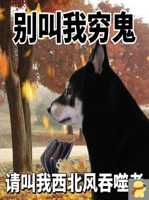 青青河边草下一句搞笑_1