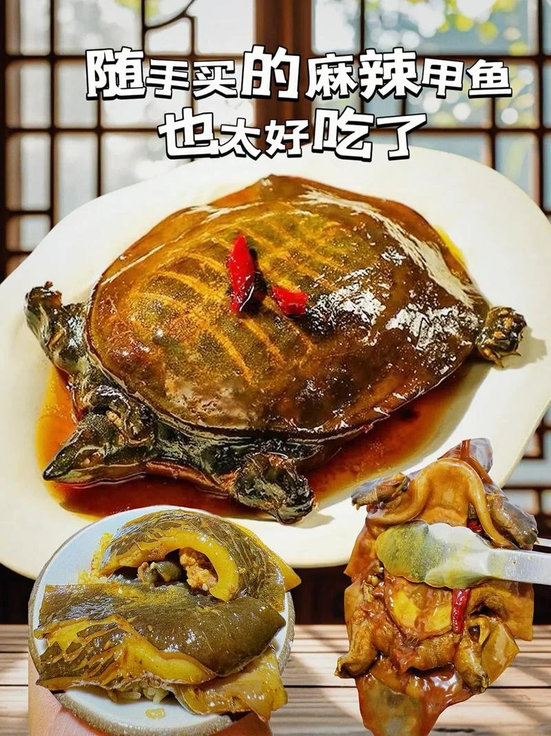 麻辣甲鱼店起名-麻辣甲鱼店名推荐