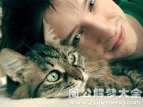 男人做梦梦见猫叫-男子梦猫叫