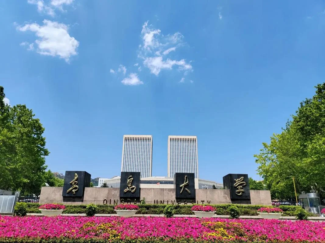 青岛大学艺术生招生网_2