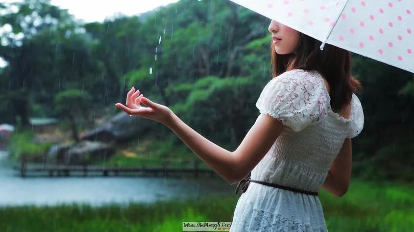 梦见买伞咋回事_1