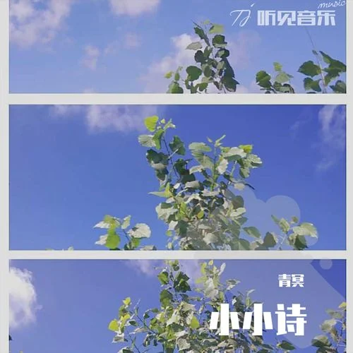 飞鸟与鱼歌词是谁写的_1