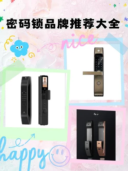 什么品牌的锁芯好_2
