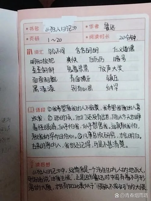 狂人日记摘抄加感悟-狂人日记摘抄感悟