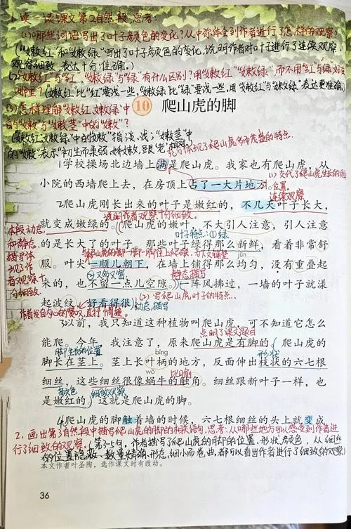 爬山虎是谁写的-爬山虎作者是谁