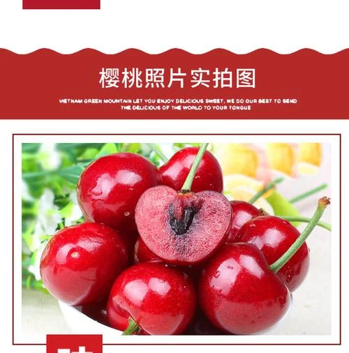 樱桃食品检测项目_2