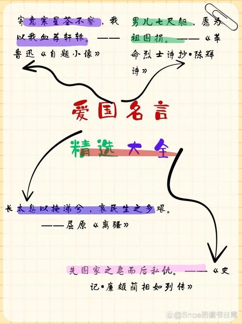 关于爱国的道理论据和事实论据_1