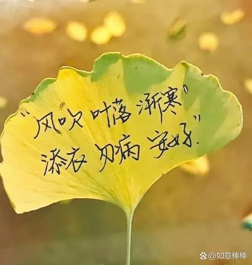 我又梦到你了_2