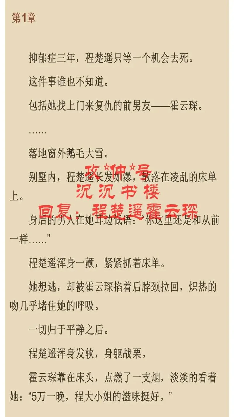 没道理的爱情小说阅读_1