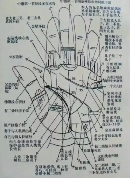 看手相怎么忽悠人-看手相忽悠人