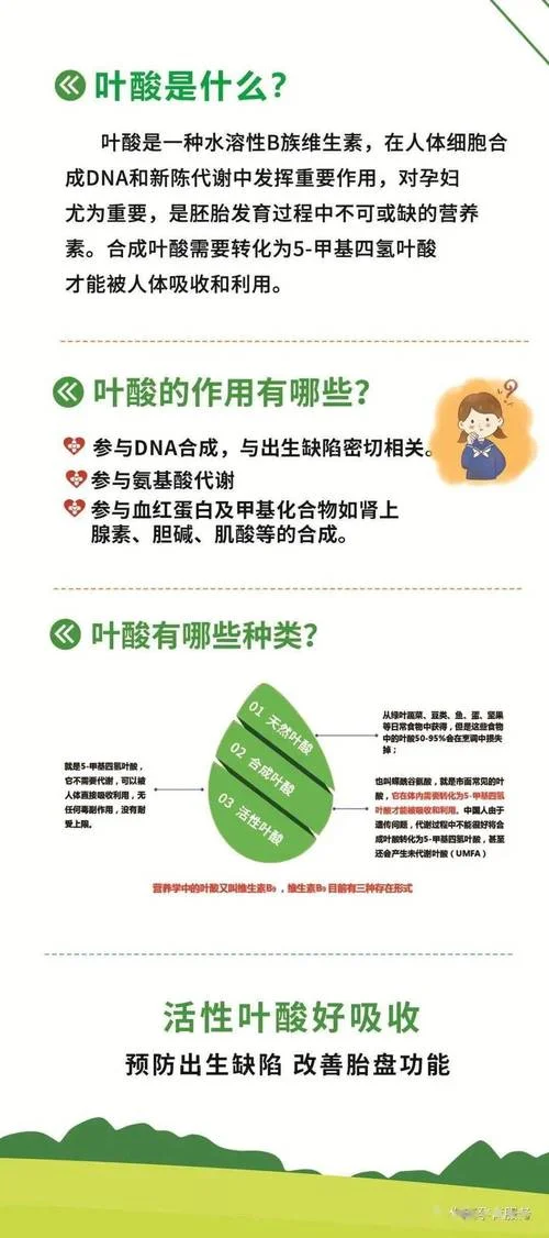 什么是叶酸有什么作用_2