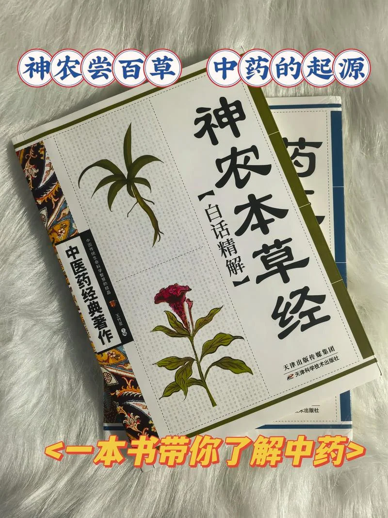 神农尝百草读书笔记-神农百草记