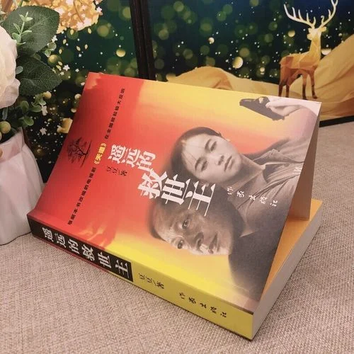 豆豆是谁指导写天道的_2
